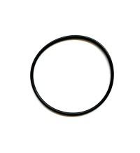 Sealing ring 20766211